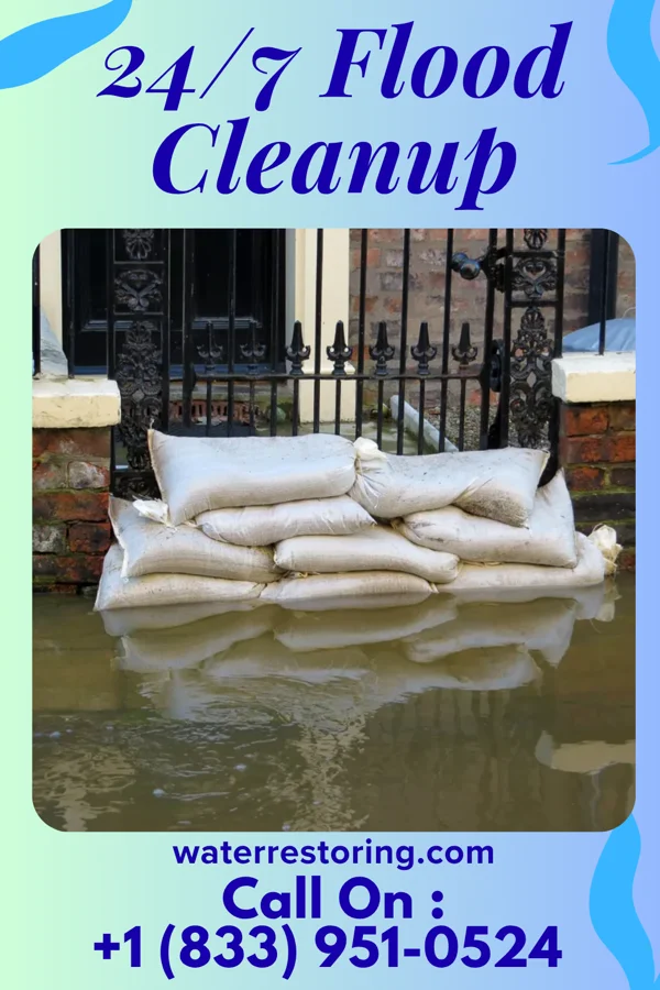 24/7 Flood Cleanup in Orr, MN