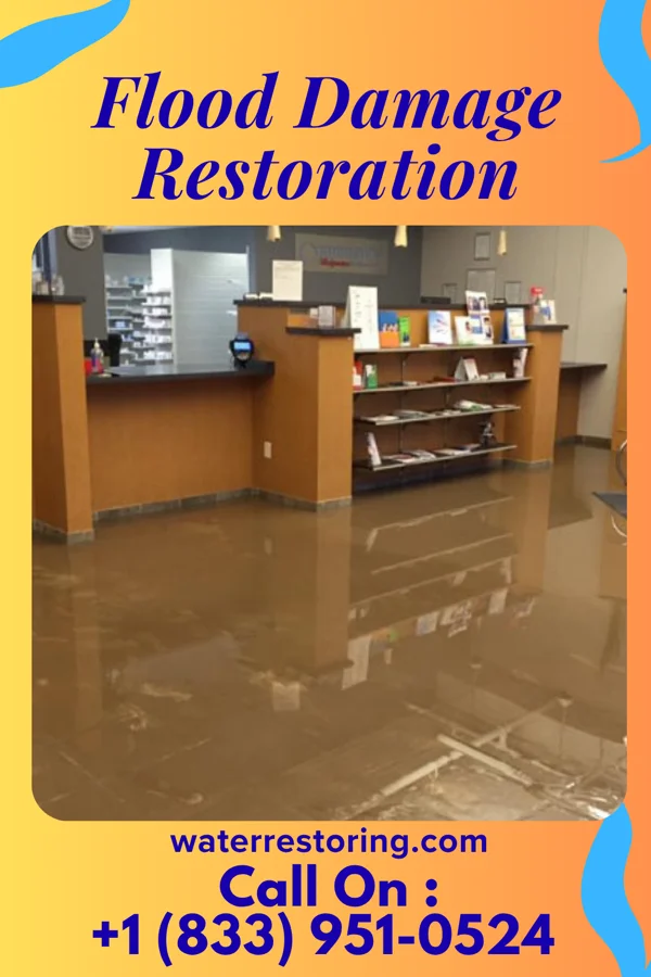 Flood Damage Restoration in Orr, MN