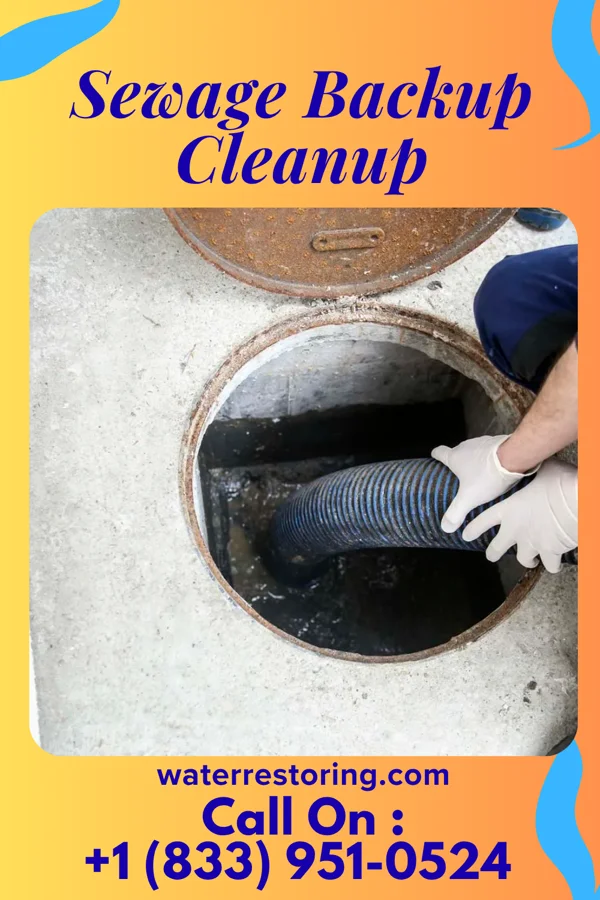 Sewage Backup Cleanup in Orr, MN