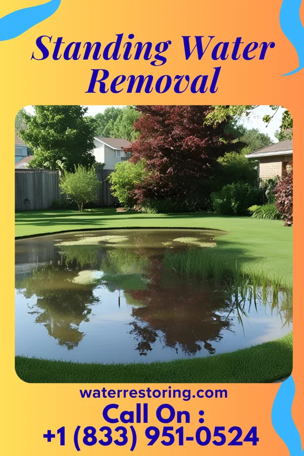 Standing Water Removal in Orr, MN